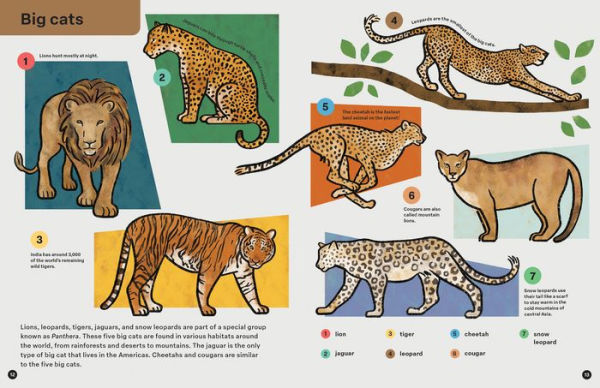 Spring Street Discover: Animals