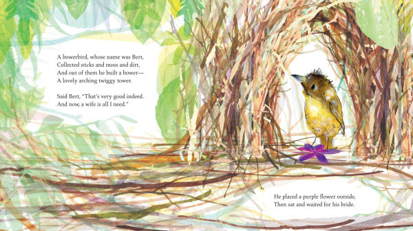Bert, the Bowerbird: The small bird with a big heart
