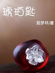 Title: ???(????,????): A Hidden Past ( A novel in simplified Chinese characters), Author: ???