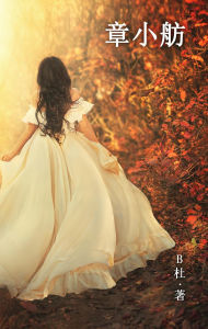 Title: ???(????): Miss Zhang (A novel written in simplified Chinese characters), Author: B?