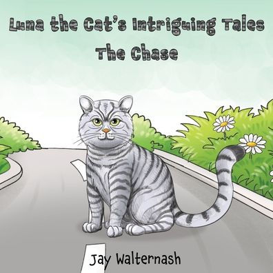 Luna the Cat's Intriguing Tales: Chase