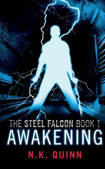 The Steel Falcon Book1: Awakening