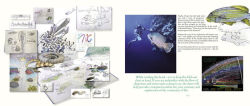 Alternative view 5 of Beyond Extinction: The Eternal Ocean-Climate Change & the Continuity of Life