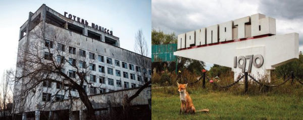 Chernobyl: A Stalkers' Guide