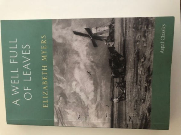 A Well Full of Leaves