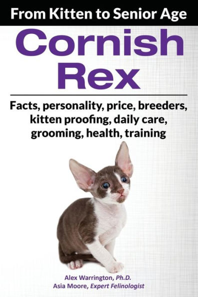 Cornish Rex: From Kitten to Senior Age