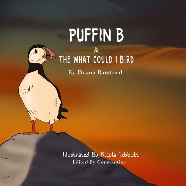 Puffin B: and the 'What Could I' Bird