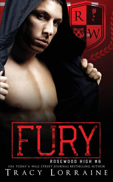 Fury: A High School Bully Romance