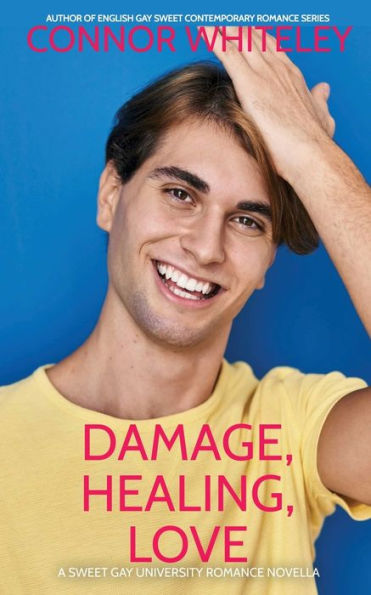 Damage, Healing, Love: A Sweet Gay University Romance Novella