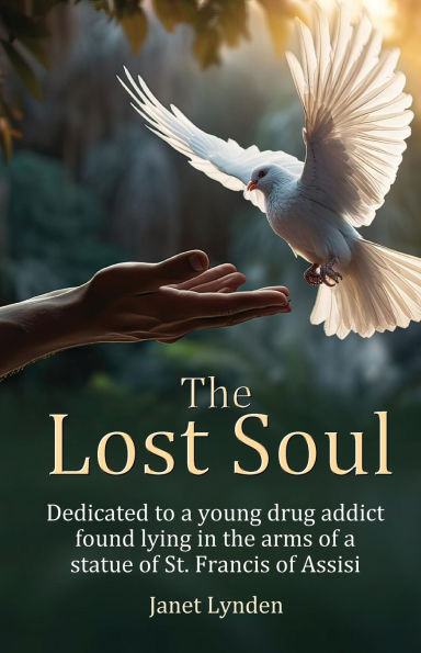 the Lost Soul: Dedicated to a young drug addict found lying arms of statue St. Francis Assisi