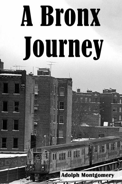 A Bronx Journey