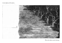 Alternative view 2 of Night Creatures: Firefly: An uplifting and lyrical story of light, hope, and wonder