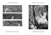 Alternative view 3 of Night Creatures: Firefly: An uplifting and lyrical story of light, hope, and wonder