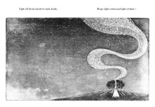 Alternative view 8 of Night Creatures: Firefly: An uplifting and lyrical story of light, hope, and wonder