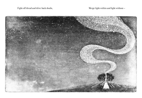 Night Creatures: Firefly: An uplifting and lyrical story of light, hope, and wonder