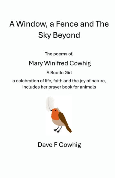 A Window, a Fence and The Sky Beyond