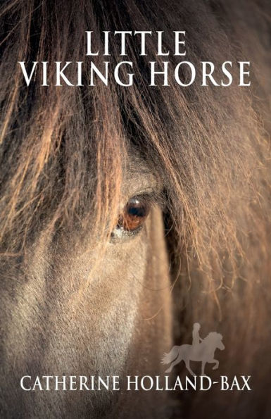 Little Viking Horse