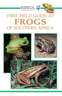 First Field Guide to Frogs of Southern Africa