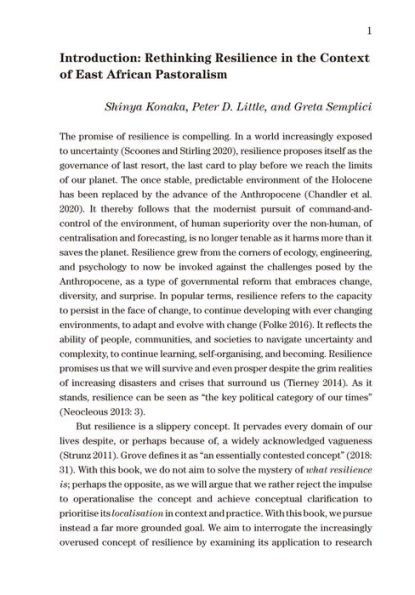 Reconsidering Resilience in African Pastoralism: Towards a Relational and Contextual Approach