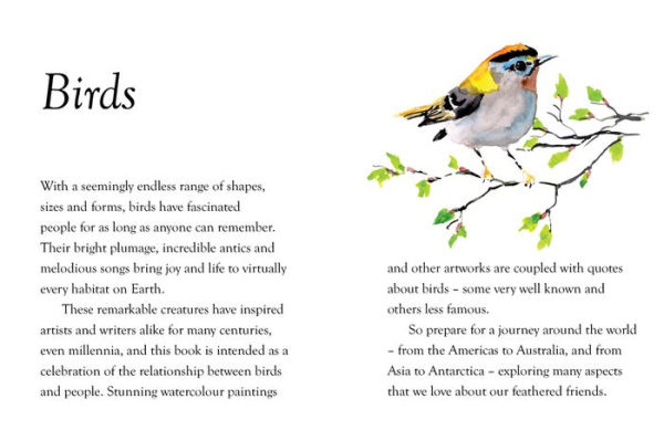 Birds