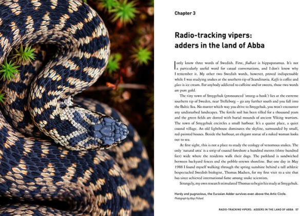 Snakes Without Borders: A collection of amazing stories from one of the world's leading herpetologists, who spent 50 years conducting research on snakes