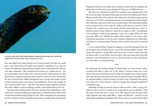 Snakes Without Borders: A collection of amazing stories from one of the world's leading herpetologists, who spent 50 years conducting research on snakes