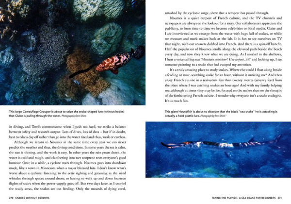 Snakes Without Borders: A collection of amazing stories from one of the world's leading herpetologists, who spent 50 years conducting research on snakes