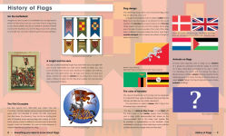 Alternative view 2 of Everything You Need to Know About Flags