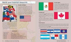 Alternative view 3 of Everything You Need to Know About Flags