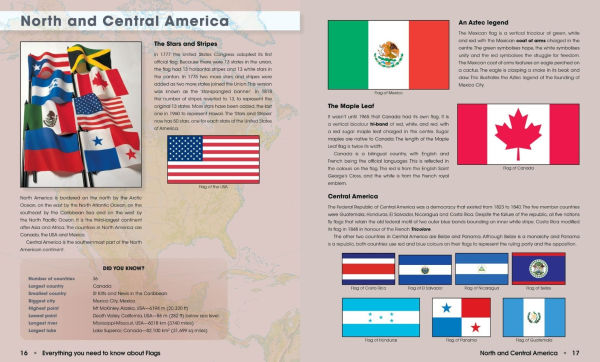 Everything You Need to Know About Flags