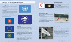 Alternative view 5 of Everything You Need to Know About Flags