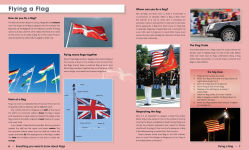 Alternative view 7 of Everything You Need to Know About Flags