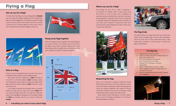 Everything You Need to Know About Flags