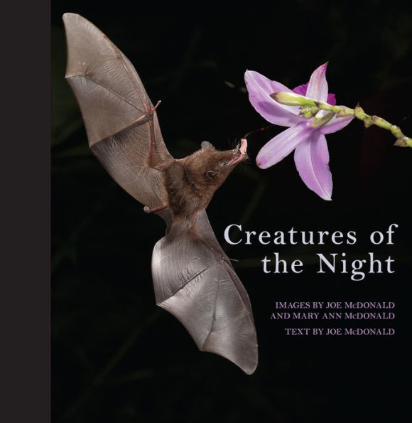 Creatures of the Night