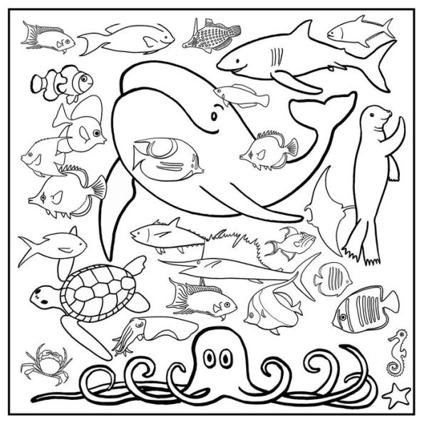In the Ocean Activity Pack: Pencils, Poster, Puzzles, Stickers, Postcard