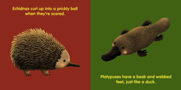 My Australian Bush Friends