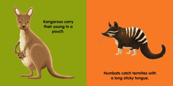 My Australian Bush Friends