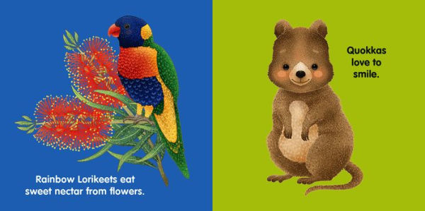 My Australian Bush Friends