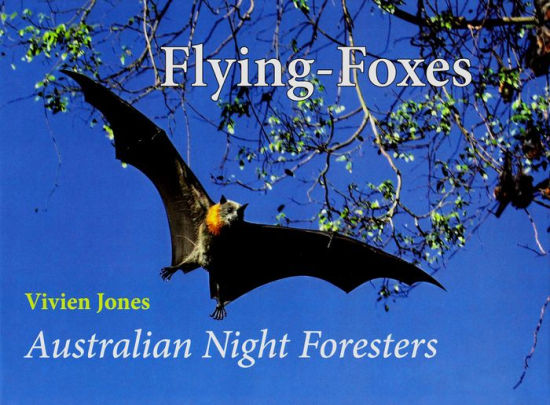 Flying Foxes Australian Night Foresters By Vivien Jones