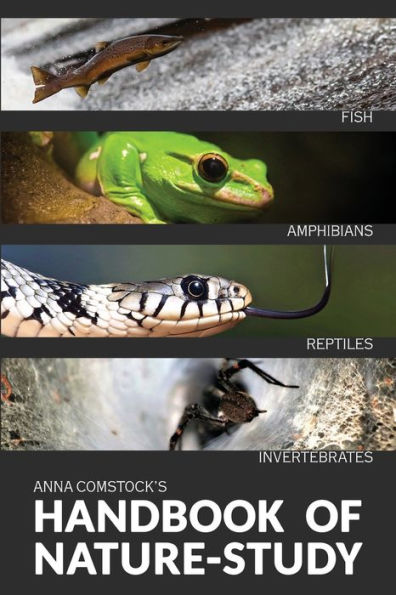 The Handbook Of Nature Study in Color - Fish, Reptiles, Amphibians, Invertebrates