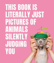 Title: This Book is Literally Just Pictures of Animals Silently Judging You, Author: Smith Street Books