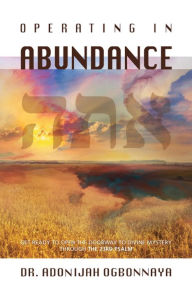 Title: Operating in Abundance, Author: Adonijah Ogbonnaya