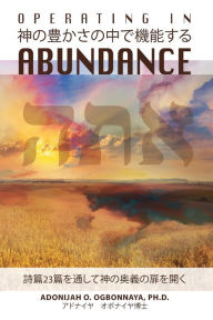 Title: Operating in Abundance (Japanese Edition), Author: Adonijah O Ogbonnaya Ph D