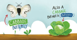 Alternative view 2 of Food or Friend?