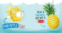 Alternative view 3 of Food or Friend?