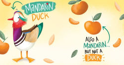 Alternative view 4 of Food or Friend?