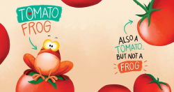 Alternative view 5 of Food or Friend?