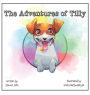 The Adventures of Tilly