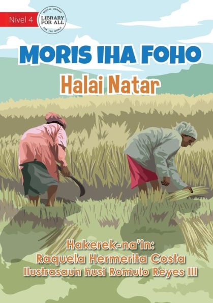 Living In The Village - Rice Cultivation - Moris iha Foho - Halai Natar