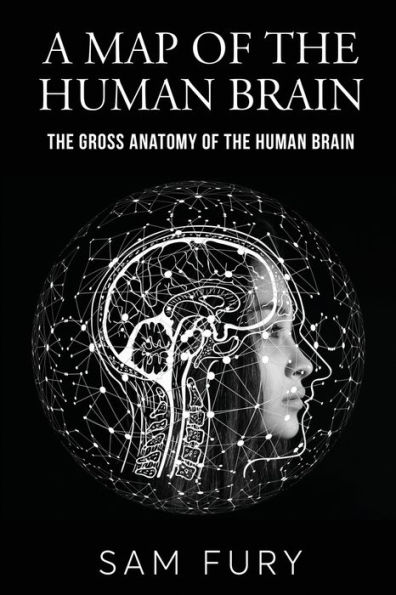 A Map of the Human Brain: Gross Anatomy Brain